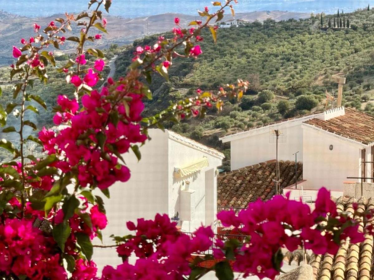Casas La Vista B Apartman Casarabonela Kültér fotó